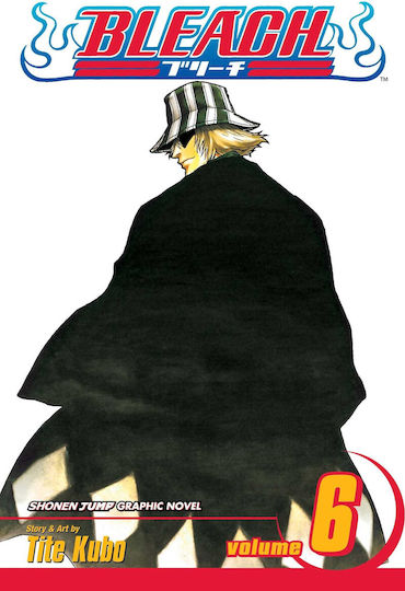 Bleach Vol.06
